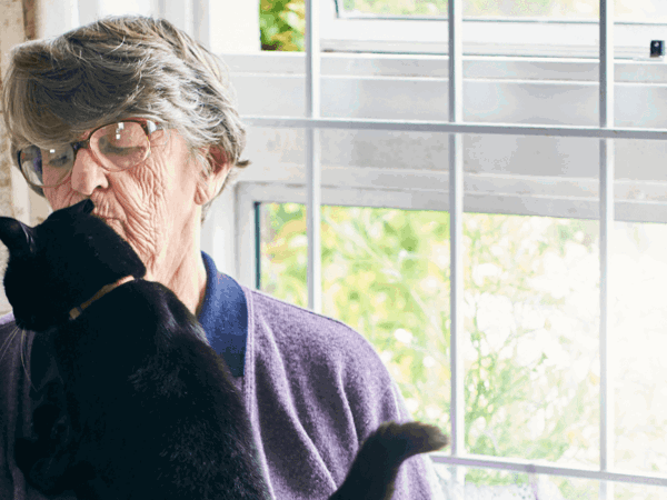 Llun fenyw gyda gath