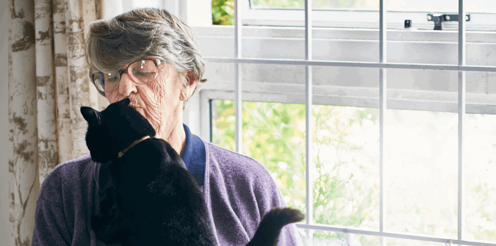 Llun fenyw gyda gath